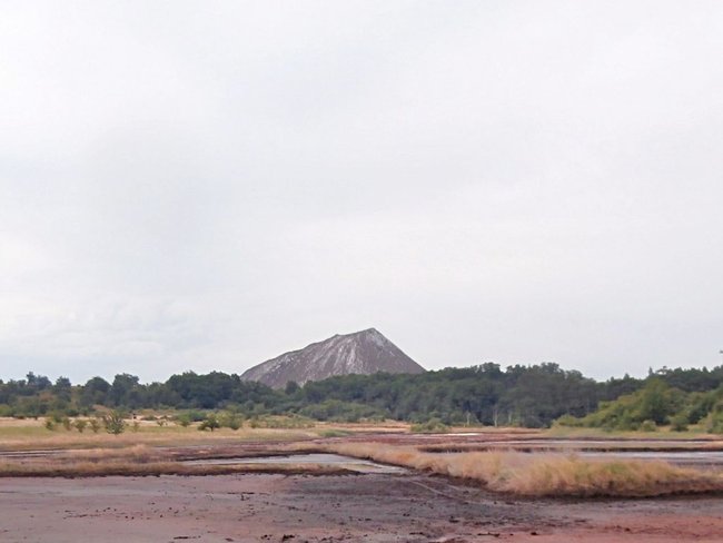 Halde-24.jpg