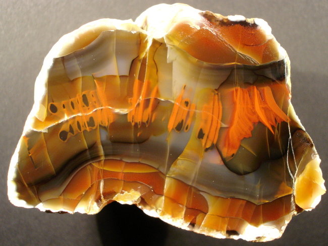 Eigene Funde 085.jpg