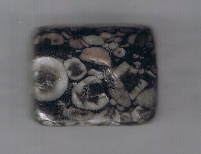 Unbenannt-Scannen-01.jpg