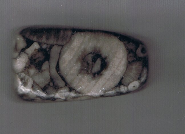 Unbenannt-Scannen-03.jpg