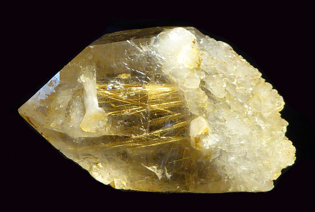 P1240007s.jpg