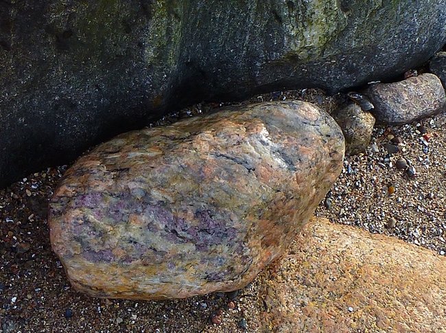 P1130861s.jpg