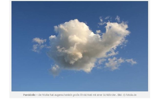 pareidolie.JPG