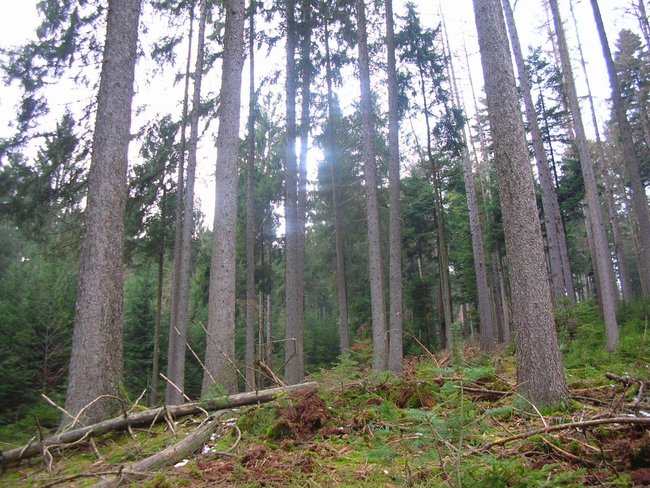 DSCN0002.JPG