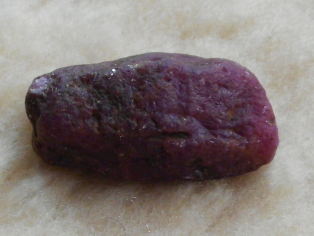 DSCI0715.JPG