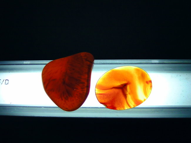 BILD0048.JPG