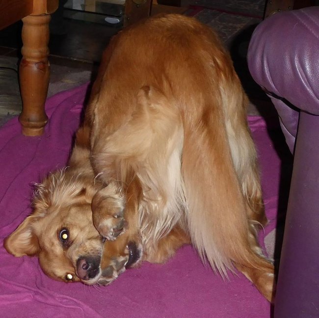 Lachyoga.jpg