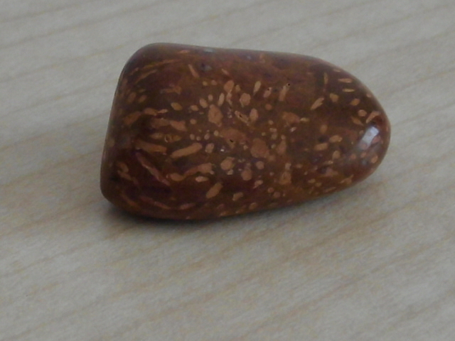 DSCI0804.JPG