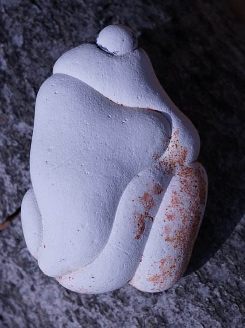 Fairy_02.jpg