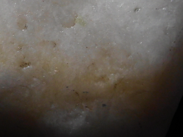DSCI0823.JPG