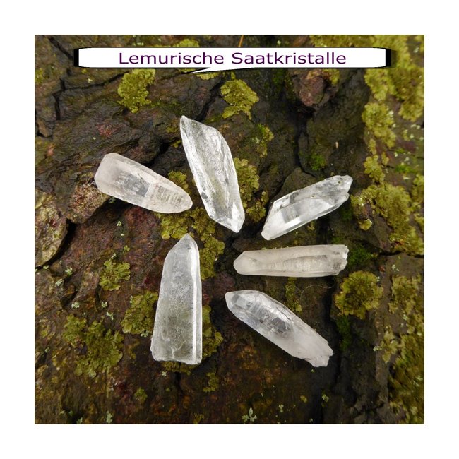 Lemurische Saatkristalle.jpg