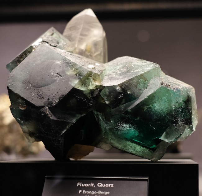 DSCF1364.jpg