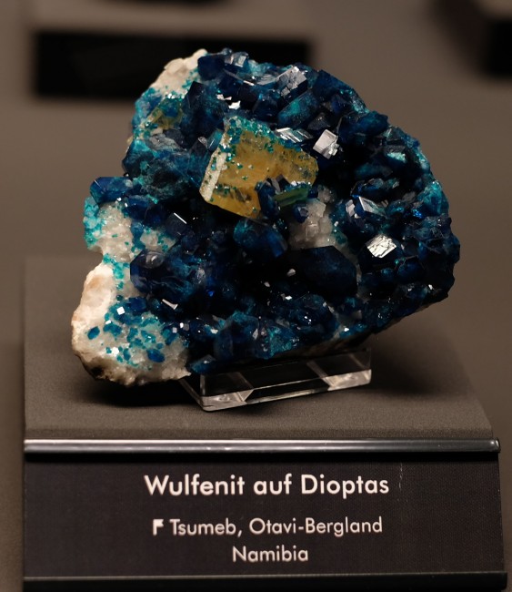DSCF1358.jpg