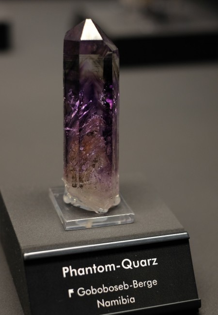 DSCF1355.jpg