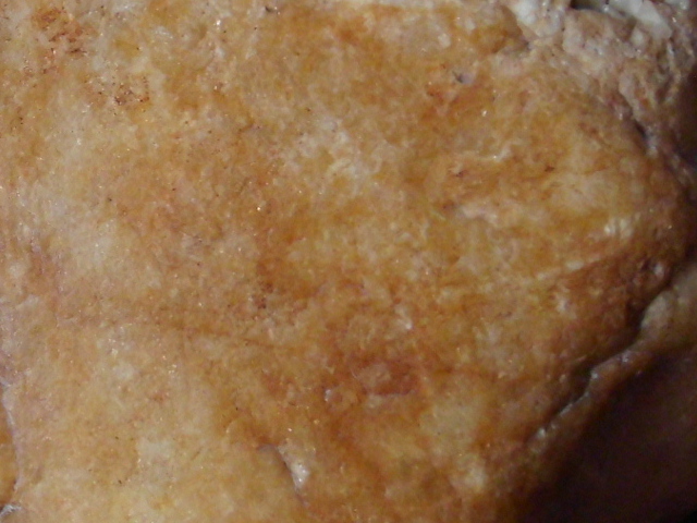 DSCI0877.JPG