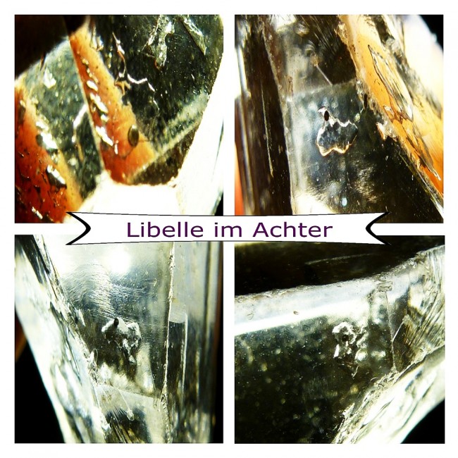libelle.jpg