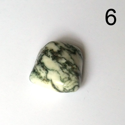 Stein6