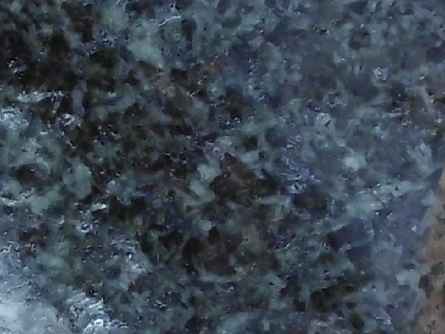 DSCI0904.JPG