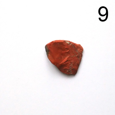 Stein9