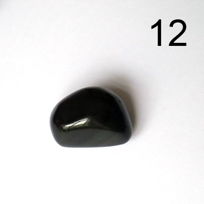 Stein12