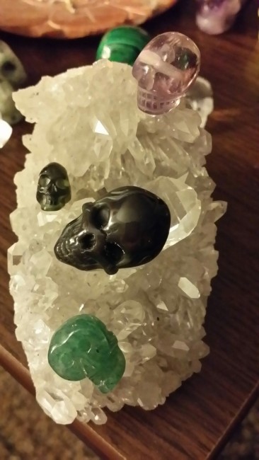 Nur Quatsch im Skull
