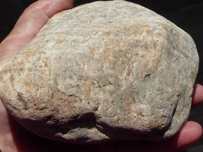 P1550274s.jpg