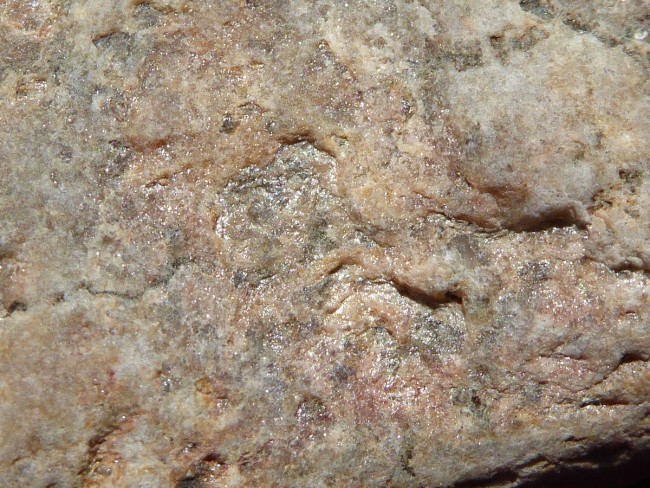 P1550275s.jpg