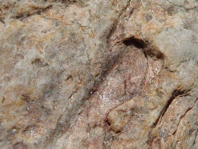 P1550277s.jpg