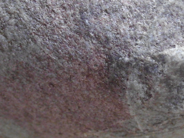 DSCI1007.JPG