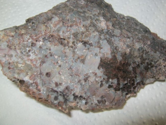 t01.JPG
