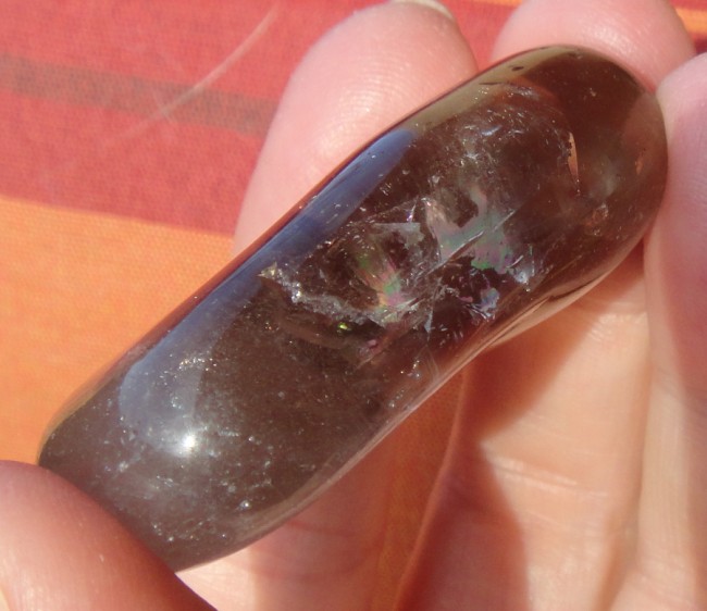 DSC07205xa.jpg