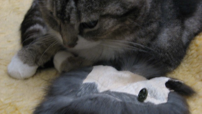 Und ganz zuletzt nochmal auf's Reisefell. Und zum Kater. :)