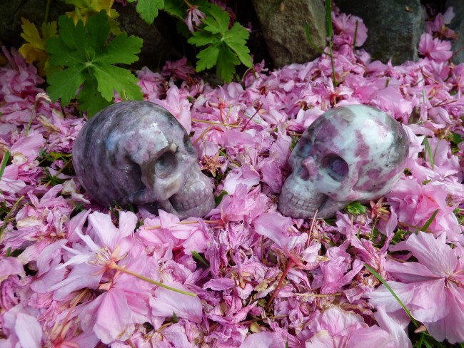 003 rosa Schneeee.JPG