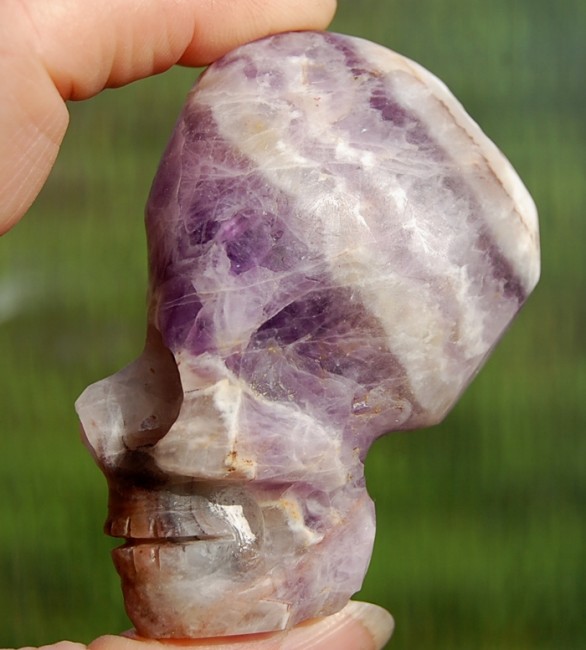 Nelek (2).JPG
