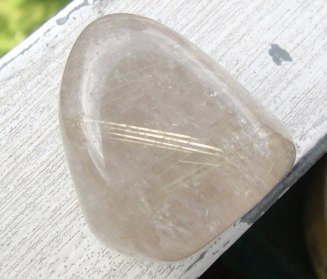 DSC07309a.jpg