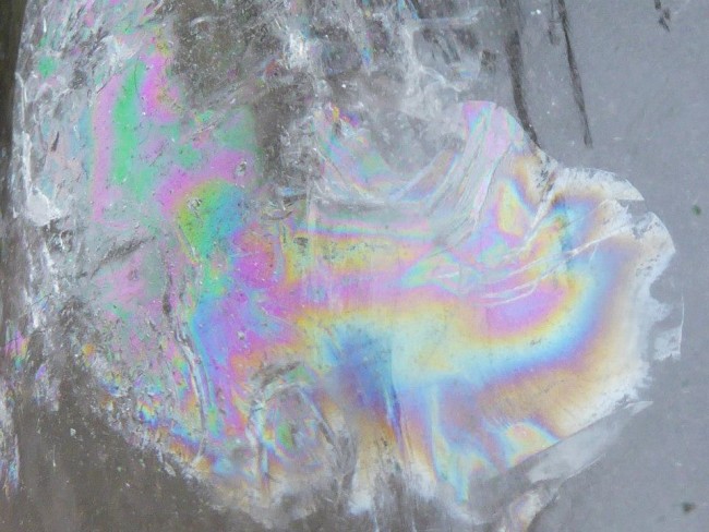 ramses regenbogen.jpg