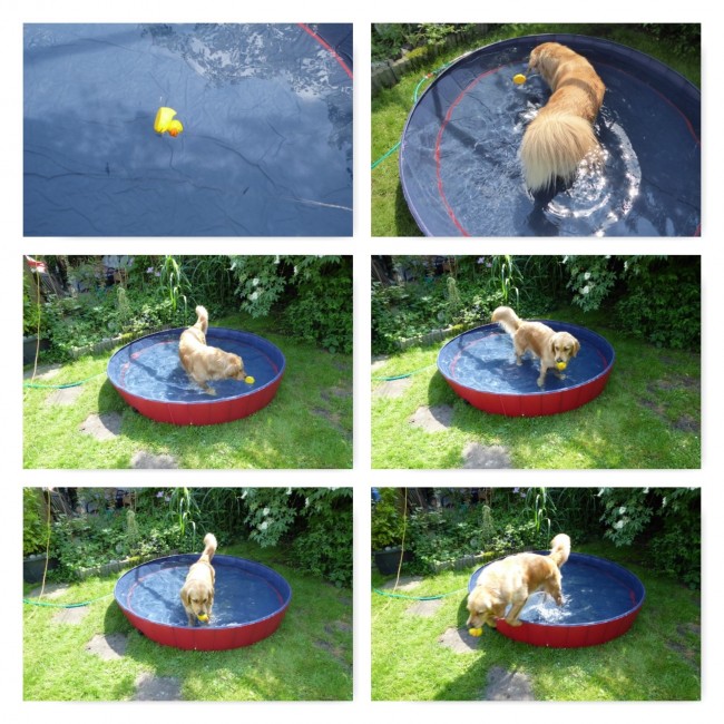 PhototasticCollage-2016-06-07-14-47-02.jpg