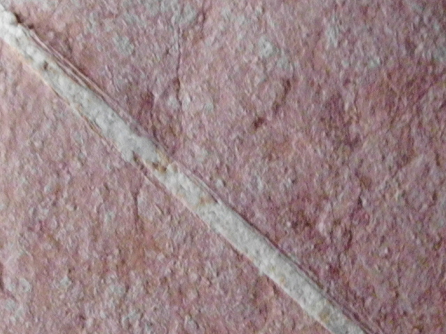 DSCI1494.JPG
