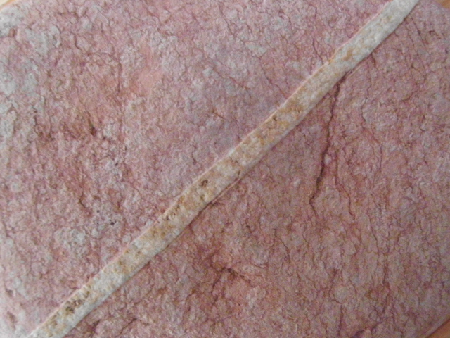 DSCI1499.JPG