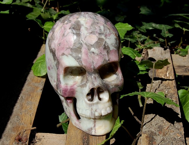 Taibu (5).JPG