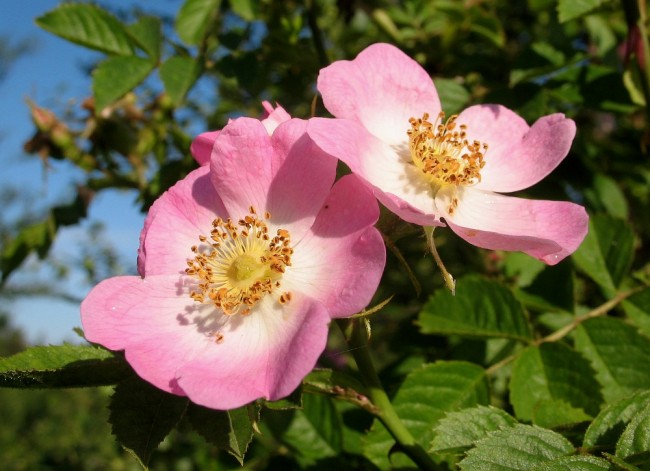 2Jul12 009.JPG