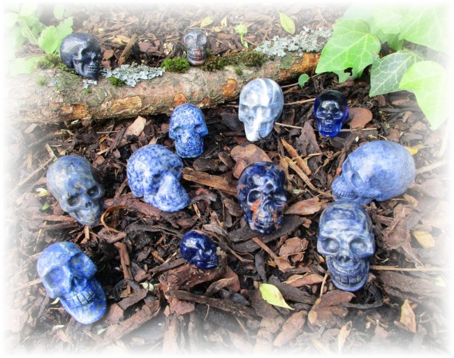 Blaue_Truppe233.jpg