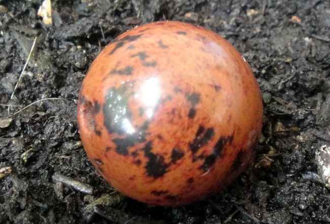 Mahagoniobsidian
