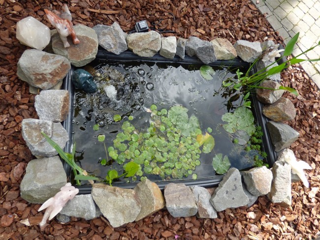 Skulli Pool.JPG