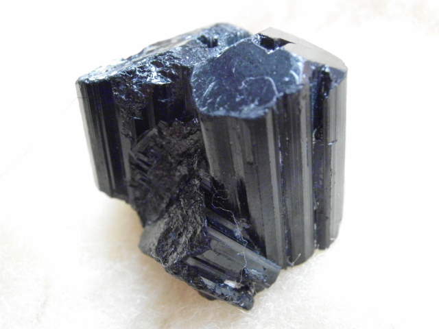 DSCI1900.JPG