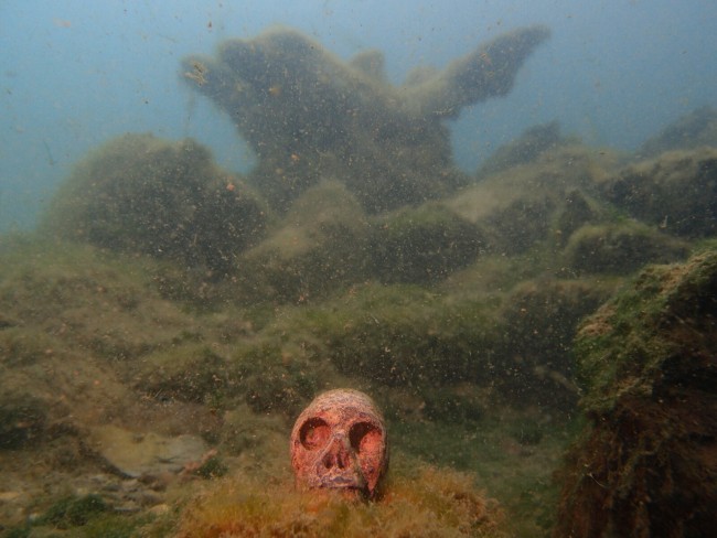 Die Fische waren neugierig