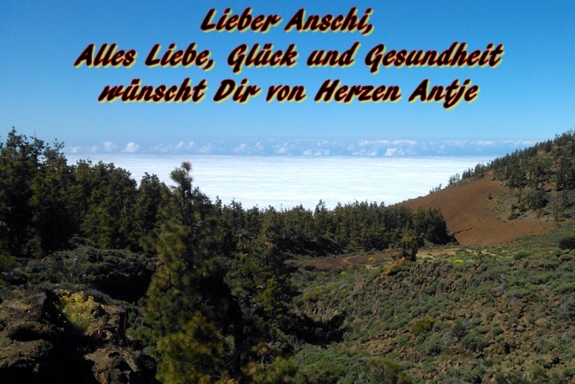 anschi.jpg