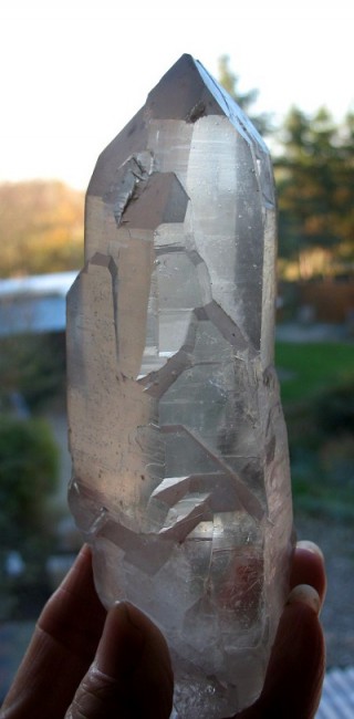 Rauch Sp2.JPG