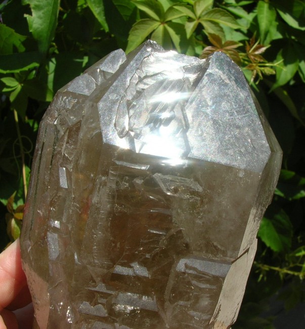 DSCN0148.JPG