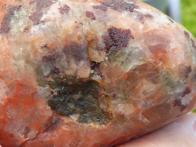 P1570588s.jpg